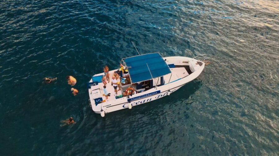 Costa Adeje: Whale and Dolphin-Watching Boat Excursion - The crew setup: safety, respect, and a calmer boat rhythm