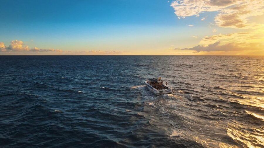 Costa Adeje: Whale and Dolphin-Watching Boat Excursion - The two-hour flow: what happens once you’re on board