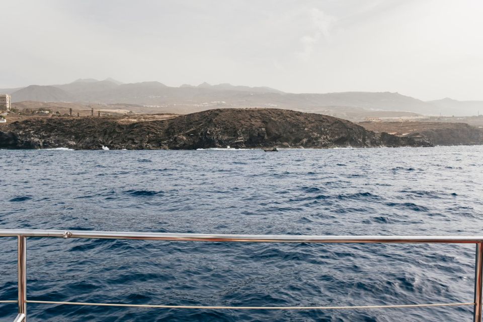 Costa Adeje: Whale & Dolphin Eco-Cruise with Snacks & Drinks - Value for Money: Why This Feels Reasonable at $52