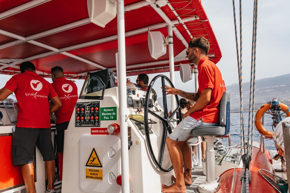 Costa Adeje: Whale & Dolphin Eco-Cruise with Snacks & Drinks - Who This Tour Fits Best (And Who Might Want to Rethink It)