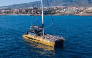 Costa Adeje: Whale Watching Cruise - Whale and Dolphin Spotting: What You’ll Really Look For