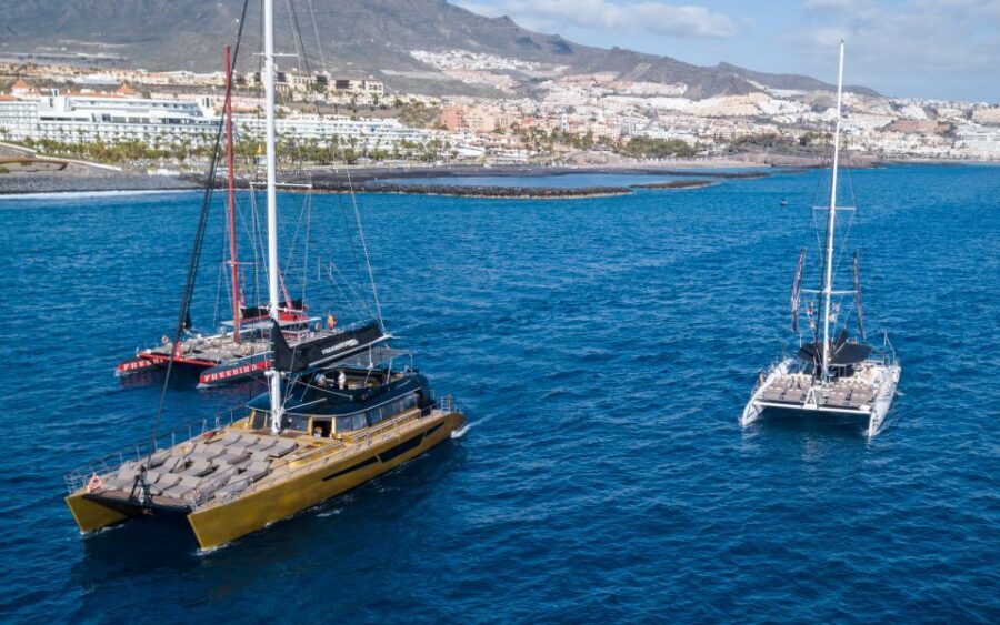 Costa Adeje: Whale Watching Cruise - Freebird Catamaran Comfort: Sun, Shade, and Live Crew Talk