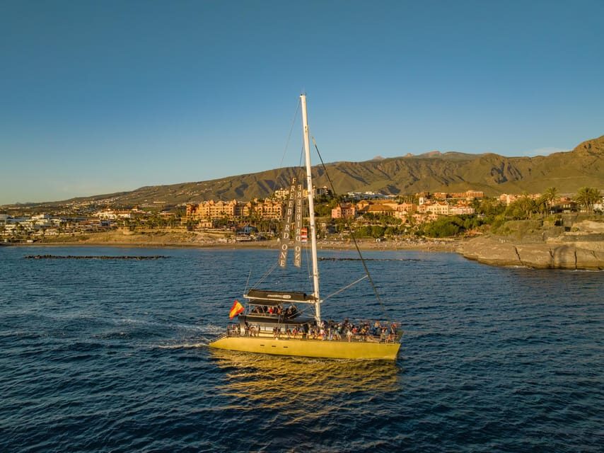 Costa Adeje: Whale Watching Cruise - The Included Swim Stop: Your Main Break From Watching