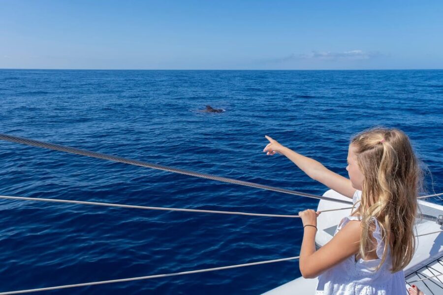 Costa Adeje: Whale Watching Cruise - Food and Drinks on Board: Snack vs. a Full Meal