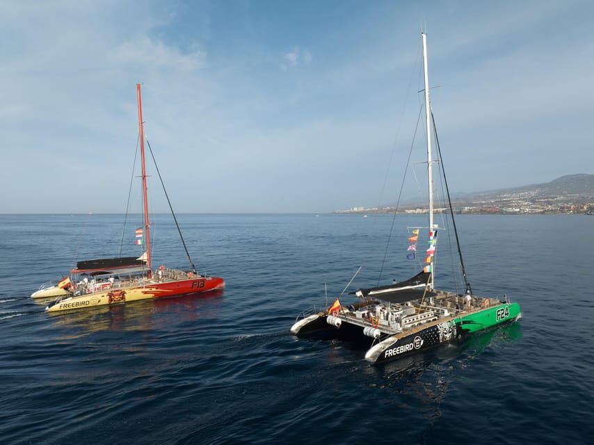Costa Adeje: Whale Watching Cruise - Who Should Book This Cruise, and Who Might Skip It