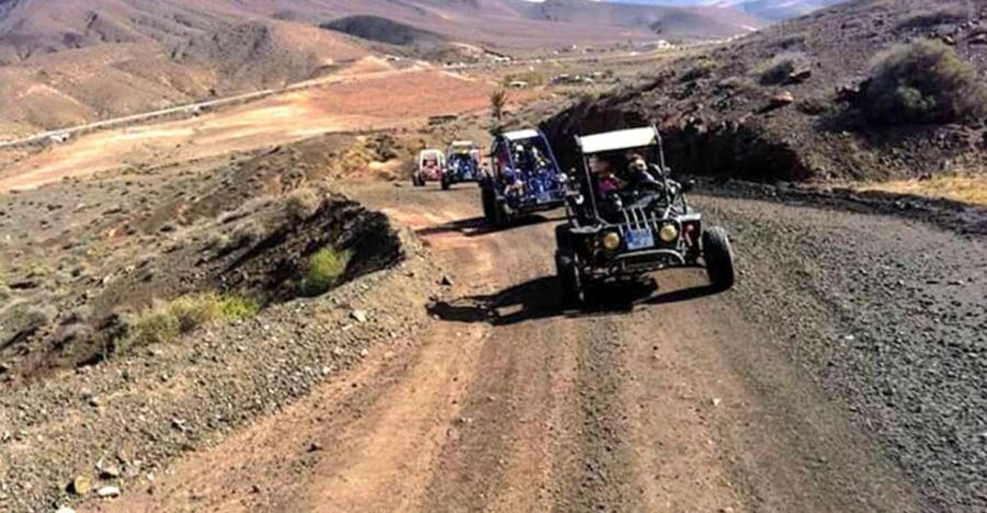 Costa Calma: Buggy Safari - Quick hits before you go
