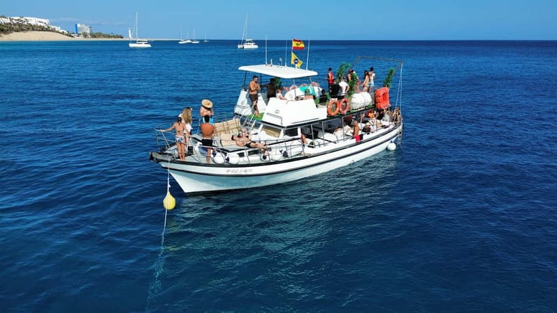 Costa Calma: Fuerteventura Dolphin Watching Zodiac Boat Tour - Price and Value: Is $46 a Good Deal?