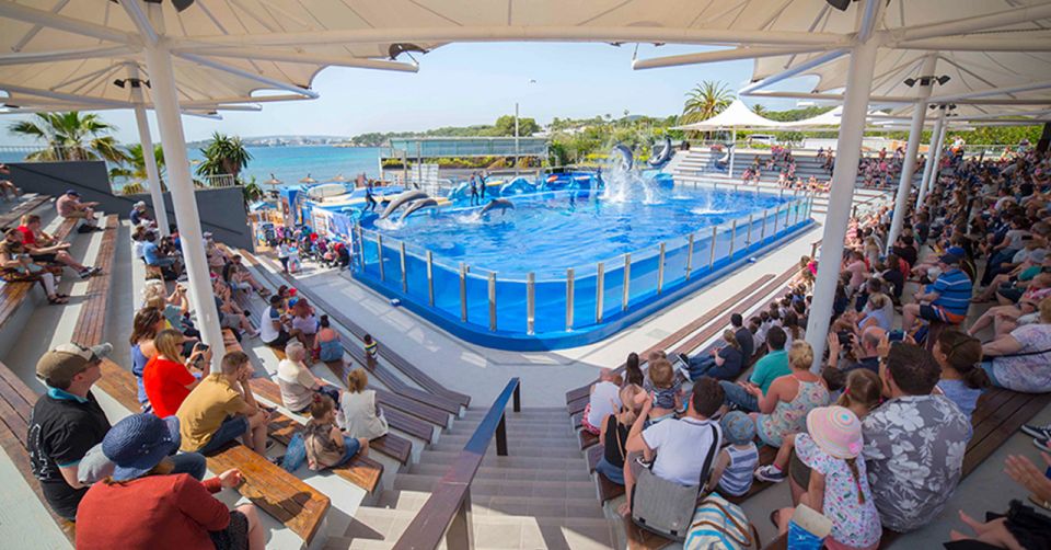 Costa d'en Blanes: Entry Ticket for Marineland Mallorca - Key takeaways before you go