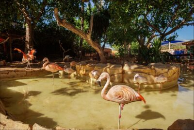 Costa d'en Blanes: Entry Ticket for Marineland Mallorca - Getting in and planning your day with a last entry time
