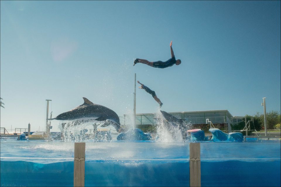 Costa d'en Blanes: Entry Ticket for Marineland Mallorca - Sea lions and exotic birds: the variety that keeps it fun