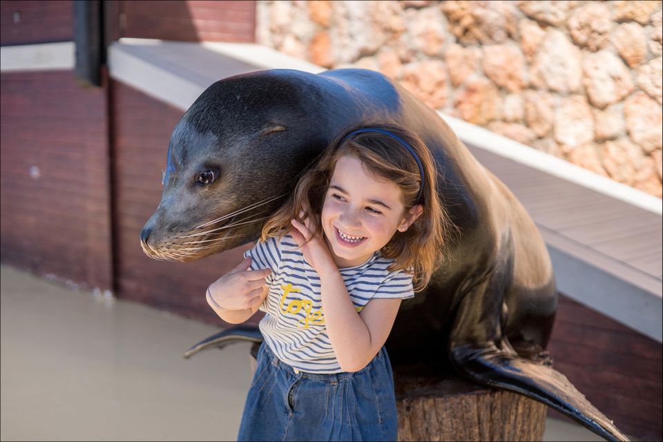 Costa d'en Blanes: Entry Ticket for Marineland Mallorca - Food and souvenirs: budget smarter than you think