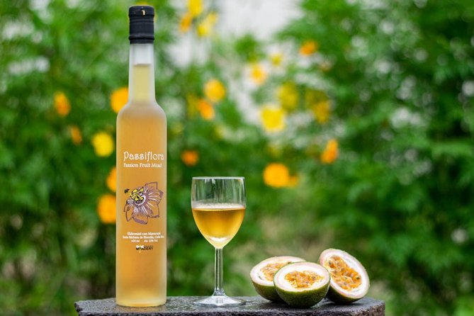 Costa Rica Central Valley Wine, Beer, and Mead Tour and Tasting - Key highlights to know before you go