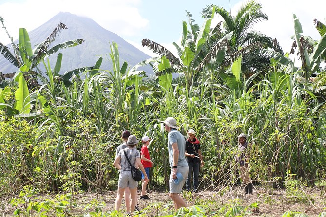 Costa Rica Descents Organic Farm - Where you might see animals (and how to approach it)