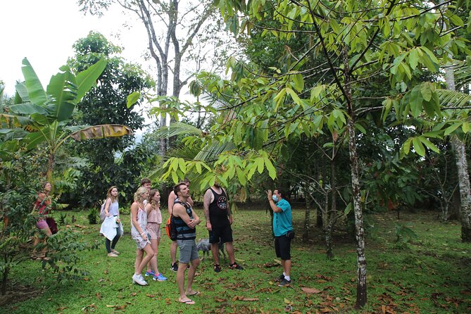 Costa Rica Descents Organic Farm - Stop 1 at Costa Rica Descents: how organic farming connects to the calendar