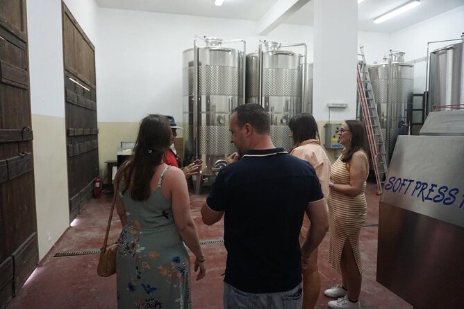 Cretan Wines & Olive oil tour - The treasures of Crete - Stironas raki distillery and lunch: spirits, methods, and a full-food payoff