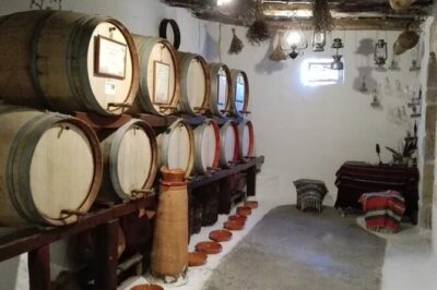 Cretan Wines & Olive oil tour - The treasures of Crete - Meleses winery: Cretan grapes, a vineyard walk, and a five-wine tasting