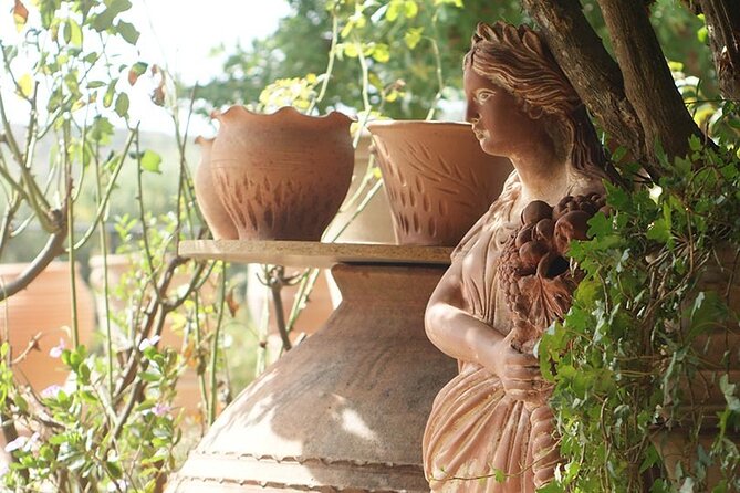 Cretan Wines & Olive oil tour - The treasures of Crete - Who should book this tour (and who might want to skip it)