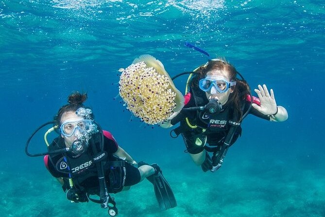 Crete-Chania: Snorkeling & Scuba Dive for Beginners by Boat - Key things I’d circle before you go