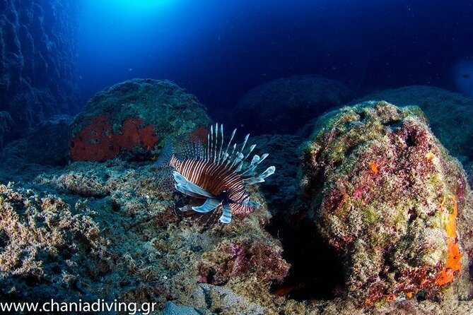 Crete-Chania: Snorkeling & Scuba Dive for Beginners by Boat - The gear, boat ride, and included extras that make this feel worth it