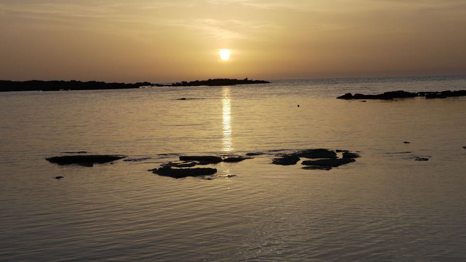 Crete: Elafonisi Pink Beach Excursion - Key Takeaways Before You Go