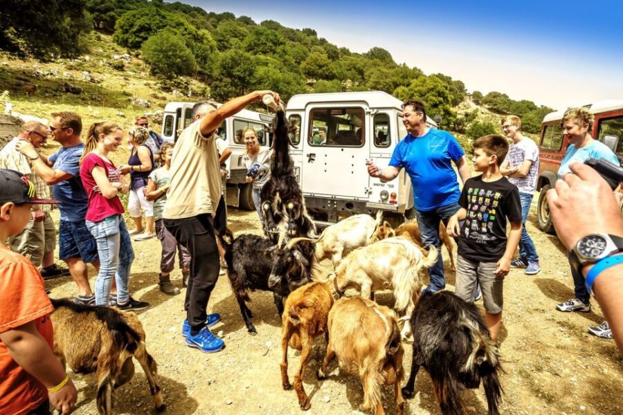 Crete: Land Rover Safari on Minoan Route - Key Highlights You’ll Remember