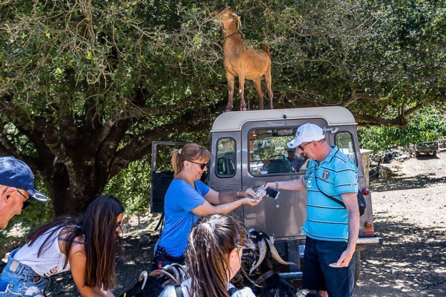 Crete: Land Rover Safari on Minoan Route - Price and Value: Is $110 a Fair Deal?