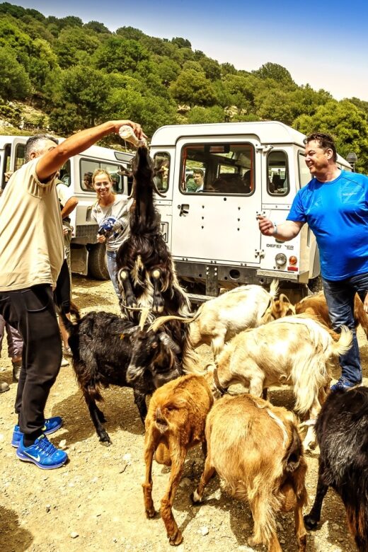 Crete: Land Rover Safari on Minoan Route - Kastamonitsa: Raki, Village Life, and the Afendi Foothills