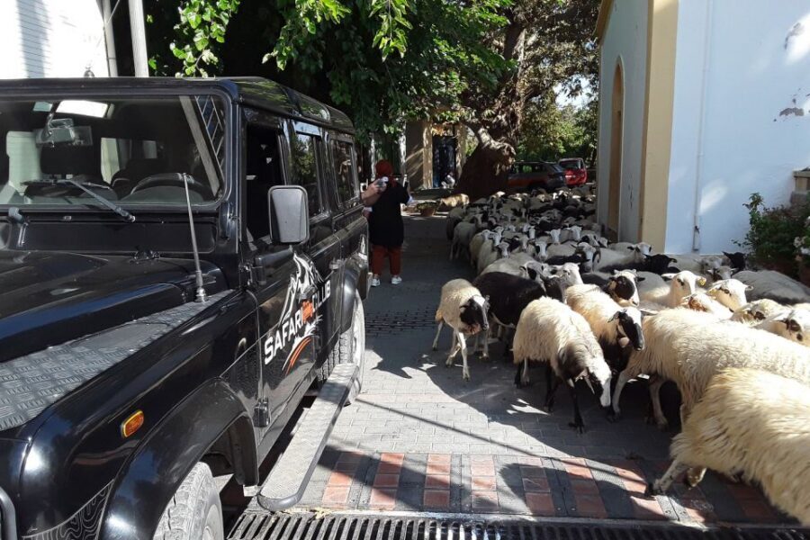 Crete: Land Rover Safari on Minoan Route - The Dirt Tracks of the Minoan Path (Yes, It’s Really That)
