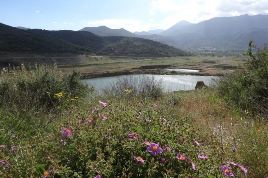 Crete: Land Rover Safari on Minoan Route - Shepherd Mitato Stops and How Cheese Actually Gets Made