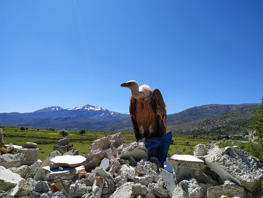 Crete: Lasithi Plateau and Cave of Zeus Off-Road Safari Tour - How hard is this day, really, and who should book it