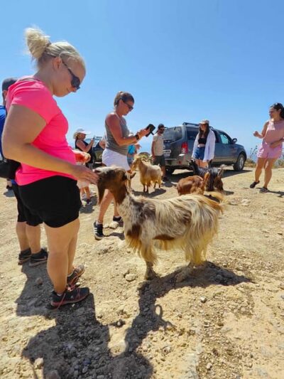 Crete: Lasithi Plateau Zeus Cave Guided Jeep Safari Tour - Pickup and Pace: Small-Group Energy Without the Hassle