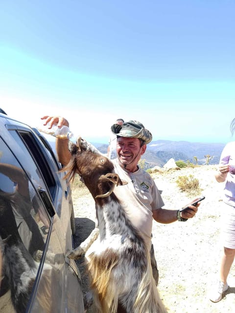 Crete: Lasithi Plateau Zeus Cave Guided Jeep Safari Tour - Avdou Market and Snacks: Where You Actually Taste Daily Crete
