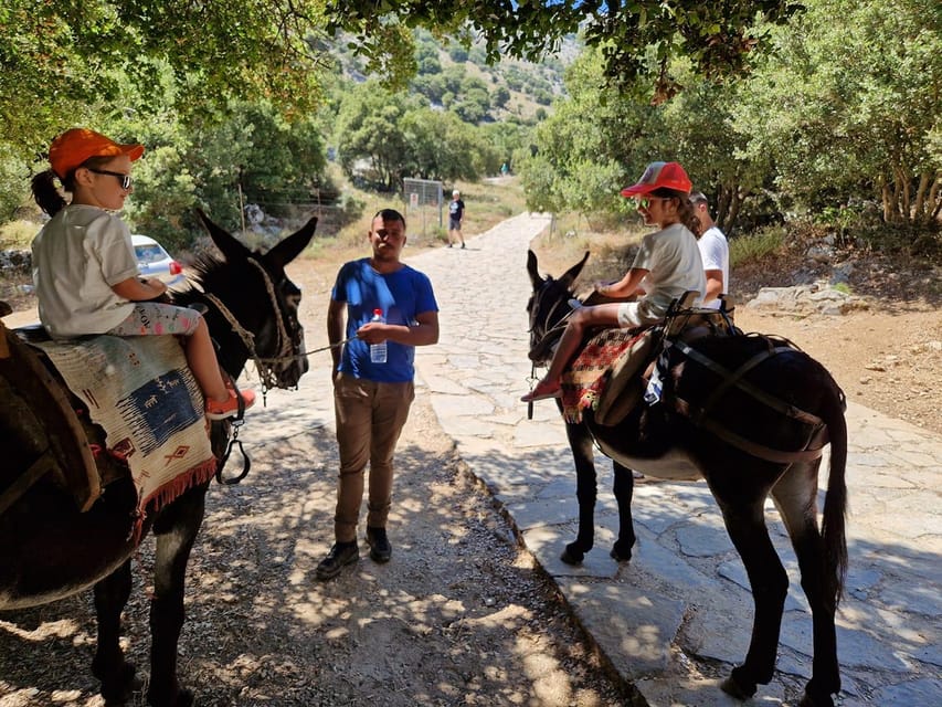 Crete: Lasithi Plateau Zeus Cave Guided Jeep Safari Tour - Krasi and the Road Up: Photo Stops That Mark the Climb
