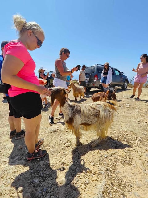 Crete: Lasithi Plateau Zeus Cave Guided Jeep Safari Tour - Pickup and Pace: Small-Group Energy Without the Hassle