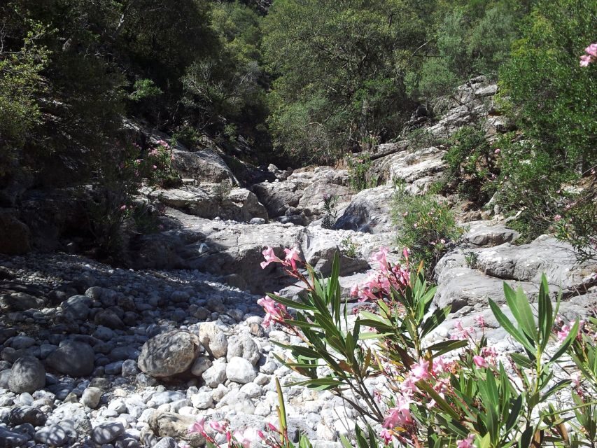Crete: Richtis Waterfall Full-Day Tour with Olive Tasting - Who Should Book Richtis (and Who Should Rethink It)