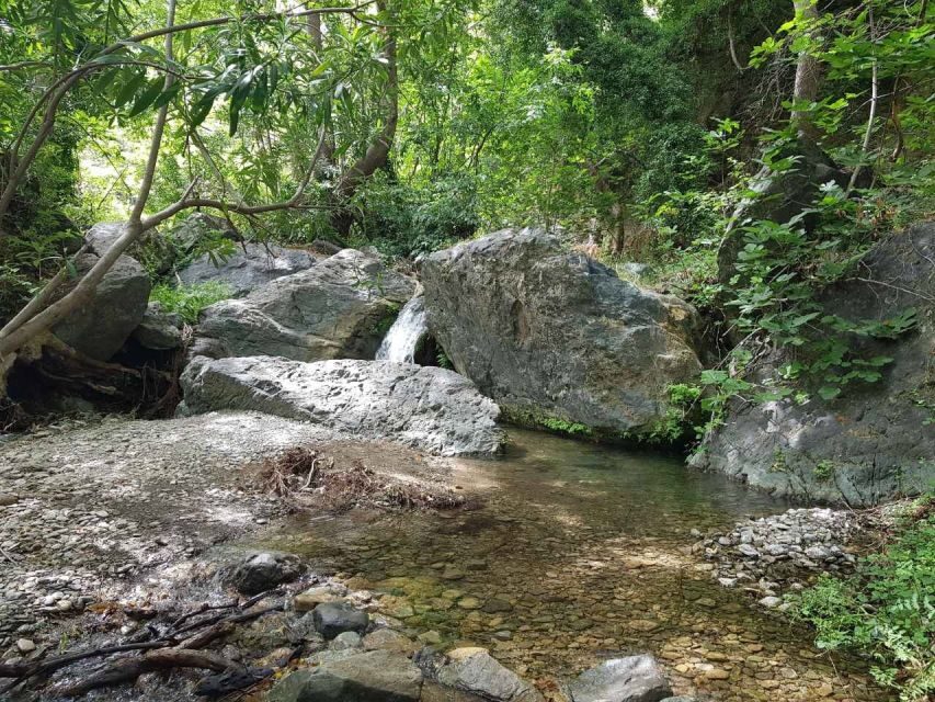 Crete: Richtis Waterfall Full-Day Tour with Olive Tasting - Swimming Under Richtis Waterfall: What You’ll Actually Do There