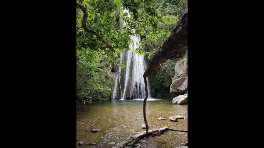 Crete: Richtis Waterfall Full-Day Tour with Olive Tasting - Lunch in a Local Tavern Plus Wine and Water Included