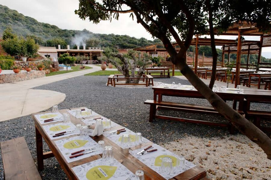 Crete: Road-trip to Lasithi Plateau & Olive Mill Farm - Who this tour suits best (and who should skip it)