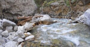 Crete: Samaria Gorge Hiking with transfer and expert Escort - Omalos Plateau to the Gorge: Where Your Legs Get Their Workout