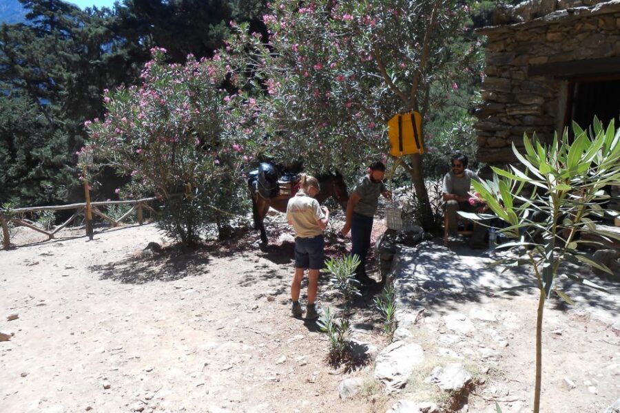 Crete: Samaria Gorge Hiking with transfer and expert Escort - The Most Beautiful Part: Tight Canyon Views and Rocky Steps