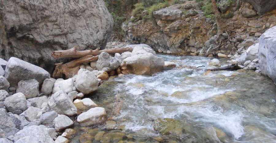 Crete: Samaria Gorge Hiking with transfer and expert Escort - Omalos Plateau to the Gorge: Where Your Legs Get Their Workout