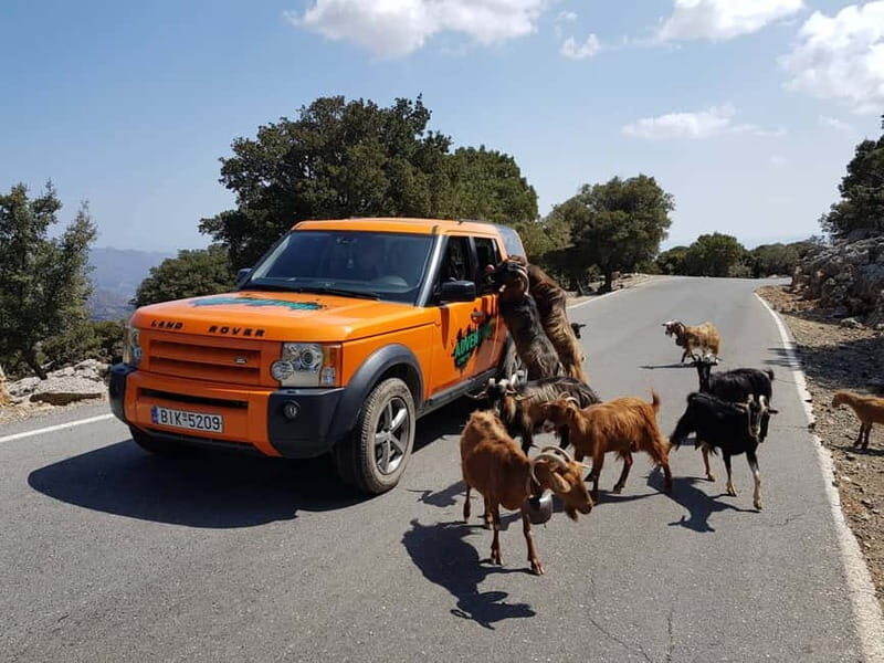 Crete: Sarakina Gorge, Forests, and South Coast Safari - Kroustas Mountain Forest: Protected Nature You Can Actually Feel