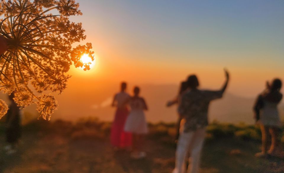 Crete: Sunset Safari - Dinner in Malia: local food with wine and water