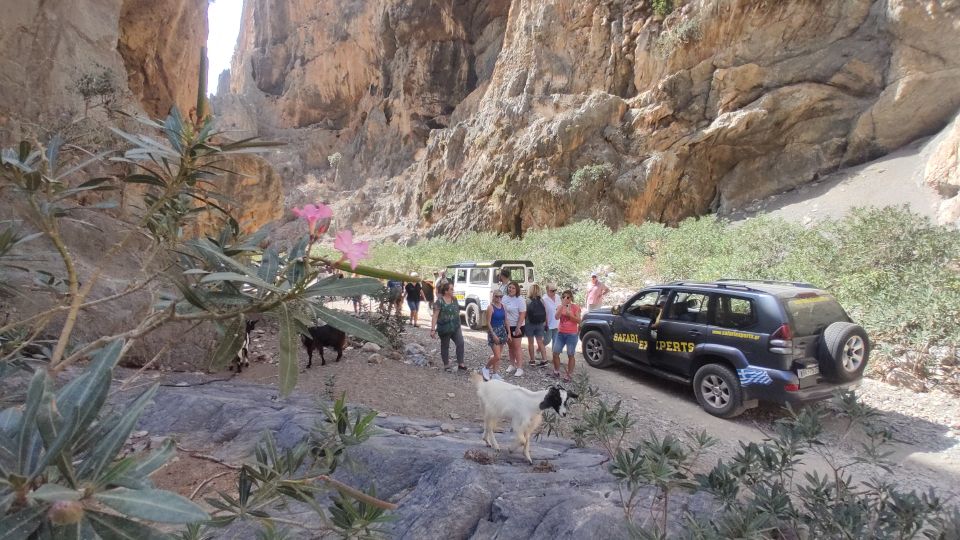 Crete: Trypiti Beach Off-Road South Tour w/ Lunch & Wine - Lunch With Wine in a Wild Olive-Tree Canyon (St. Savvas)