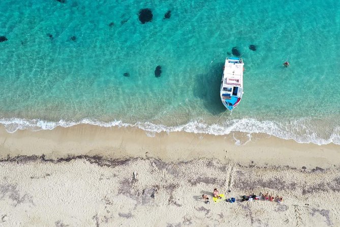 Cruise to turtle's island and caves with a glass bottom boat - The real point of this cruise: turtles and caves, without the long day