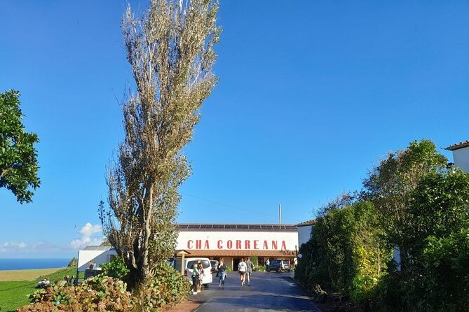 Cruise Travellers : Furnas Volcano & Terra Nostra Thermal Pool - Small Group Feel: Why Max 36 Travelers Matters on These Roads