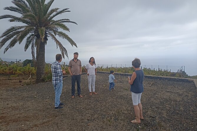 Custom Private Tenerife Full Island VIP Tour - photos included - Stop 5: Candelaria Basilica and the sea-front Plaza de Patrona de Canarias