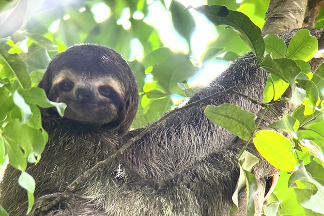 Customized Nature Walk in Manuel Antonio National Park - Key things that make this walk work well
