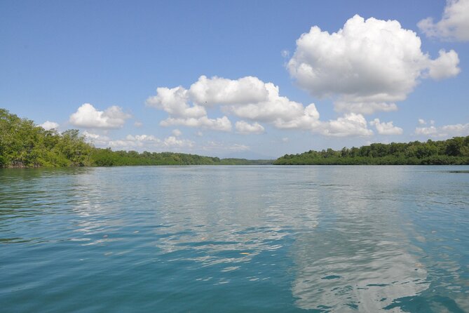 Damas Island Mangrove Boat Tour with Wildlife from Manuel Antonio - Wildlife spotting tips that make you a better guest (and viewer)