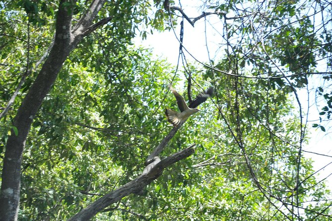 Damas Island Mangrove Boat Tour with Wildlife from Manuel Antonio - Lunch after the ride: typical Costa Rican food, served family style